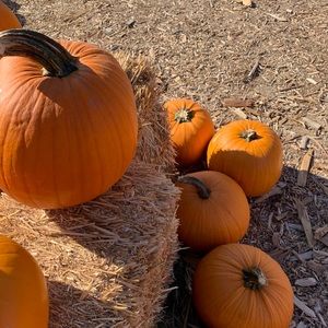 Meet your Posher, Tania